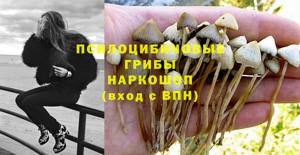 а пвп мука Беломорск