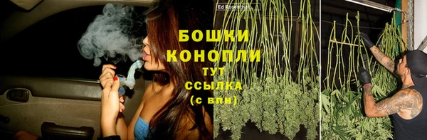 mdpv Богданович