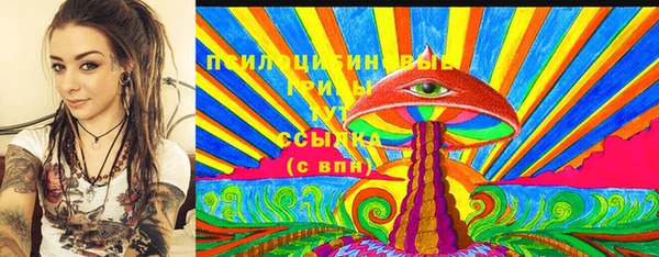 первитин Богородицк