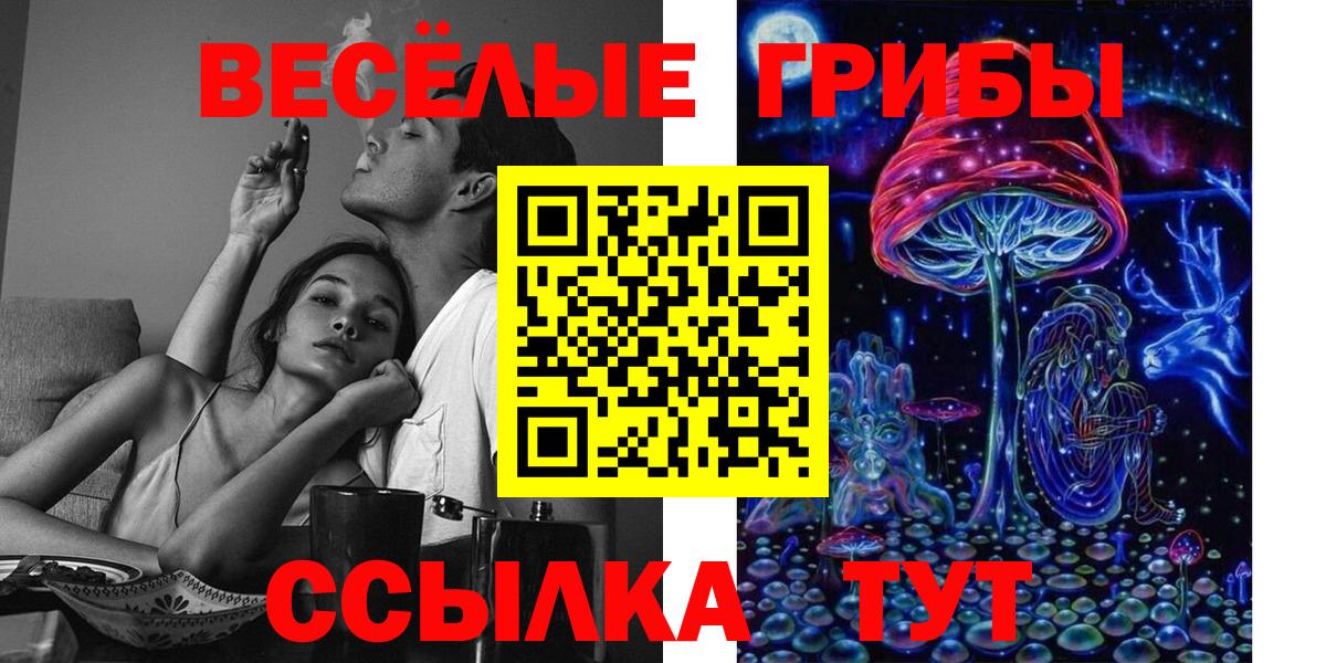 Галлюциногенные грибы мицелий  купить наркотики цена  Гулькевичи  Вход с VPN 