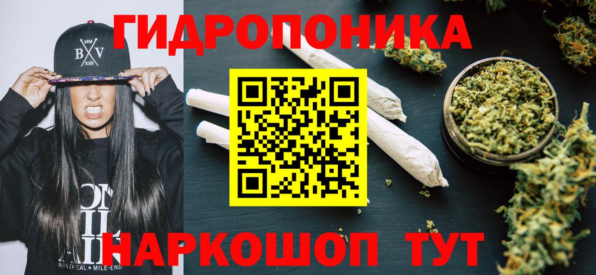 Бошки марихуана сатива Гулькевичи